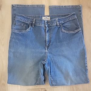 🍃  L.L.Bean Classic Fit Straight Jeans Sz 14 Reg